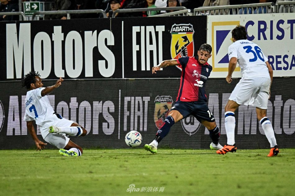 体能教练团 体能教练团